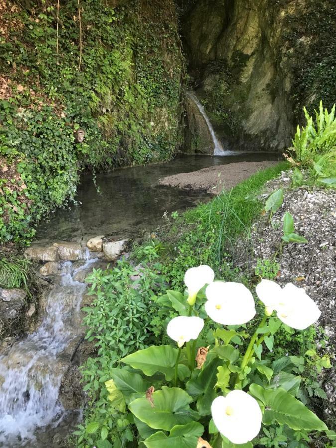 La Cascata Negli Ulivi Bed & Breakfast Toscolano Maderno Bagian luar foto