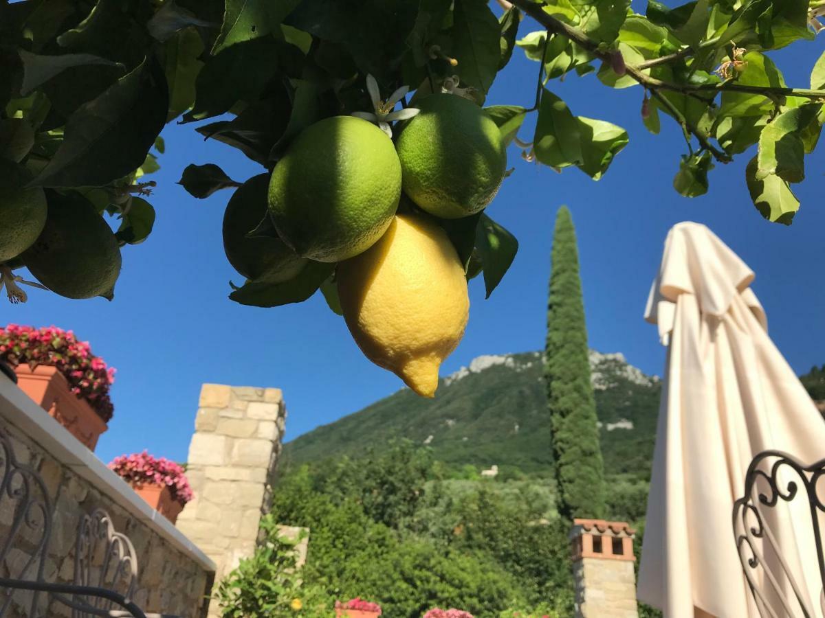 La Cascata Negli Ulivi Bed & Breakfast Toscolano Maderno Bagian luar foto