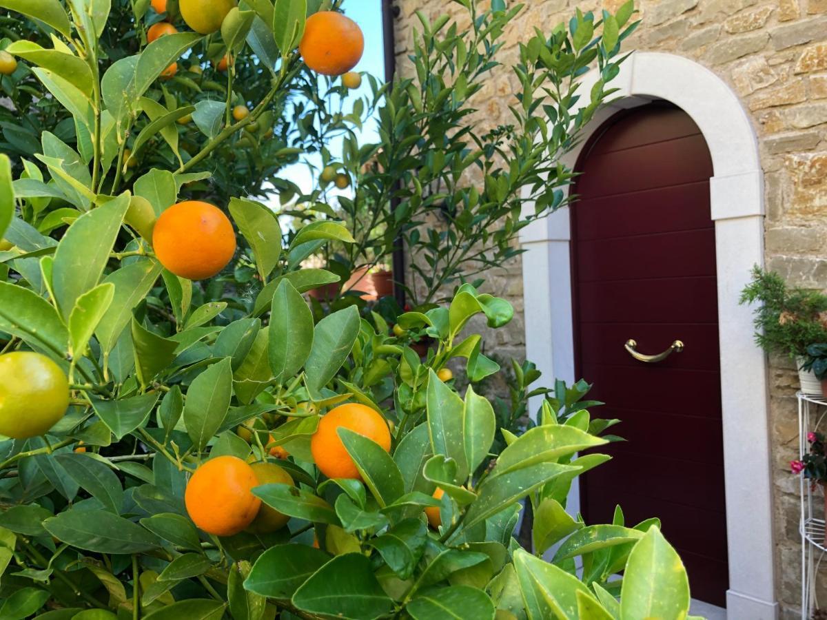 La Cascata Negli Ulivi Bed & Breakfast Toscolano Maderno Bagian luar foto